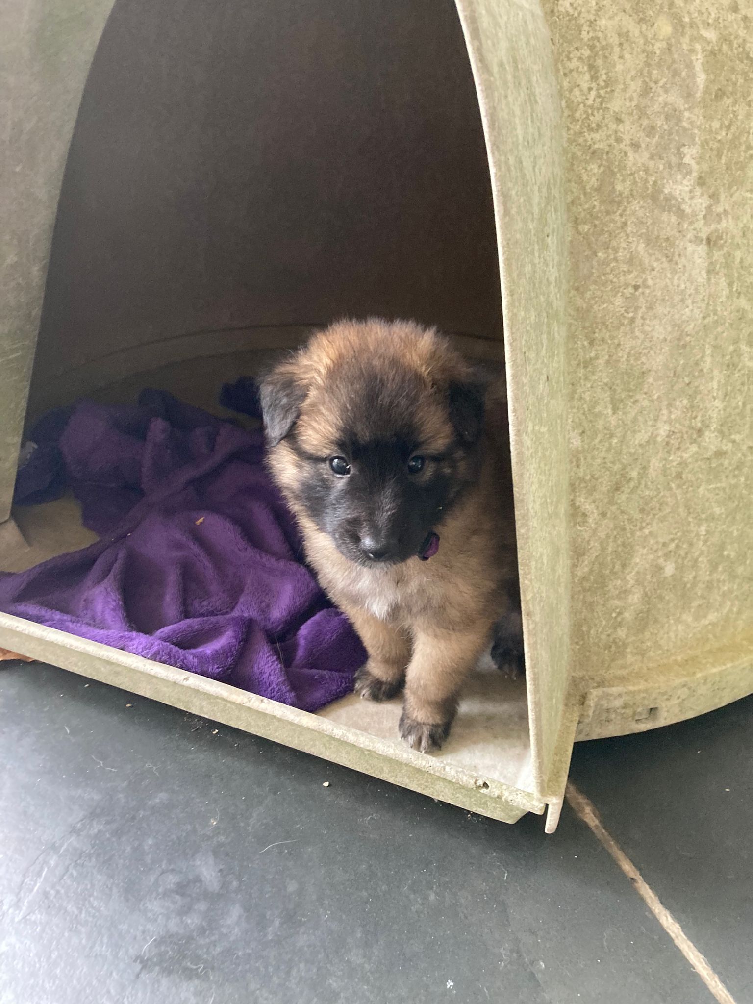 021115c3-1e3e-4197-8614-0c3179a7a0df