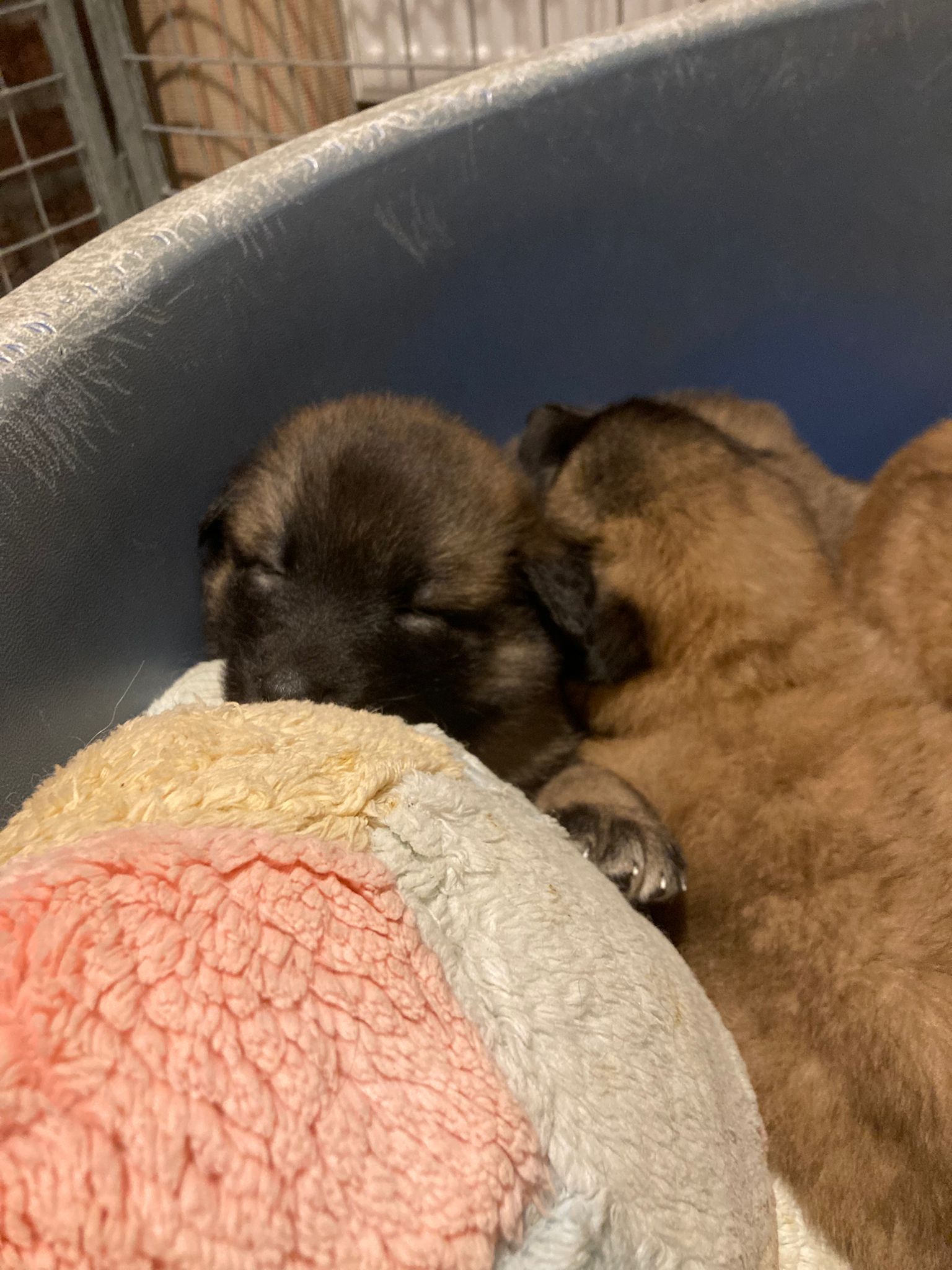 22481368-9e20-409e-8a37-dde31346505a