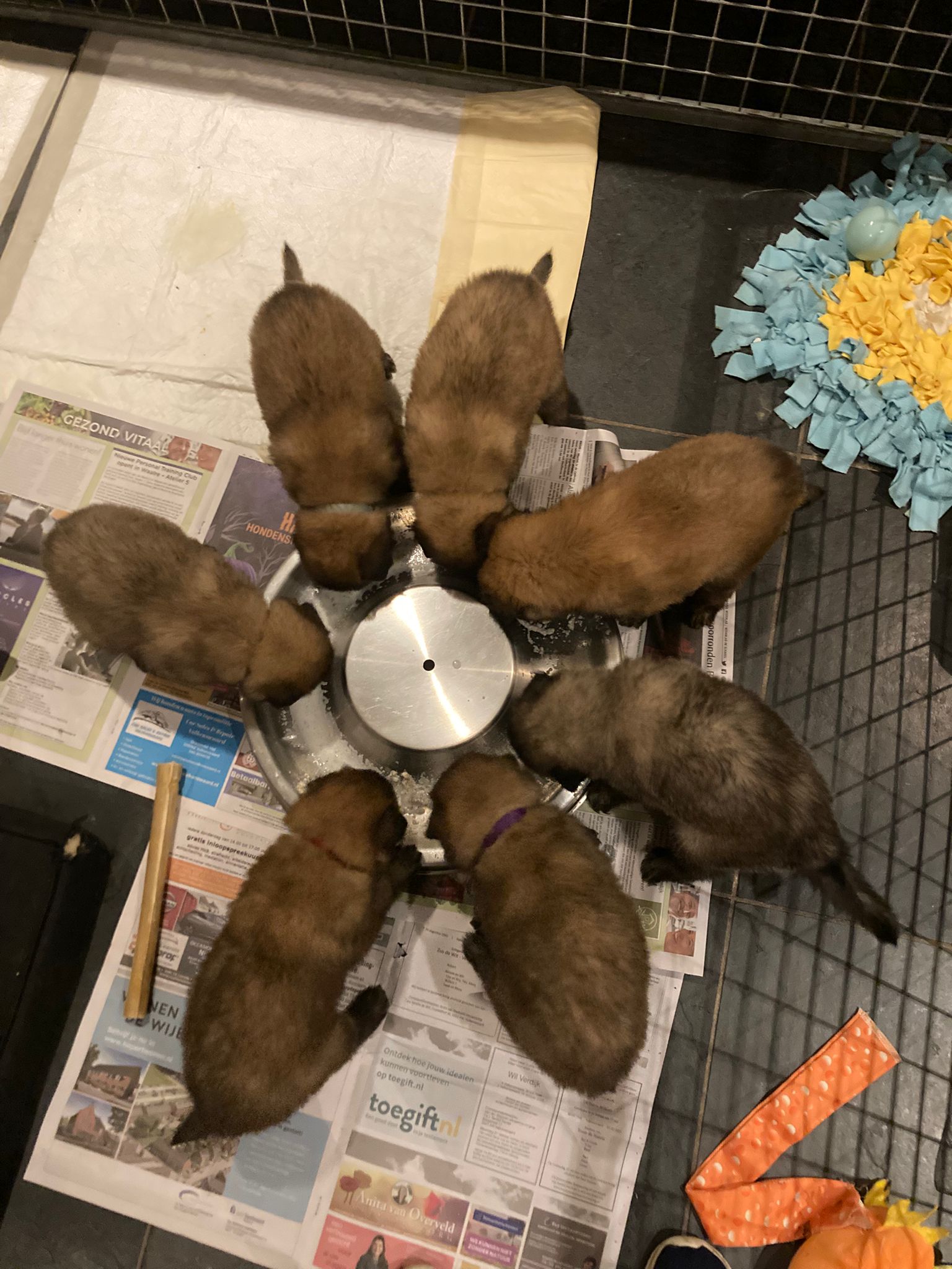 4c15f5f6-c9d0-4120-bd5f-eb517880cf47