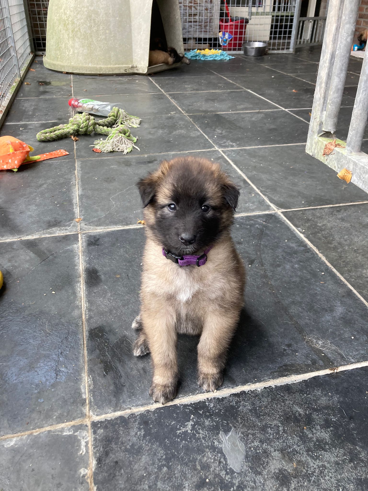 4ca052e0-309e-4cc8-94fe-82b9f92d503f