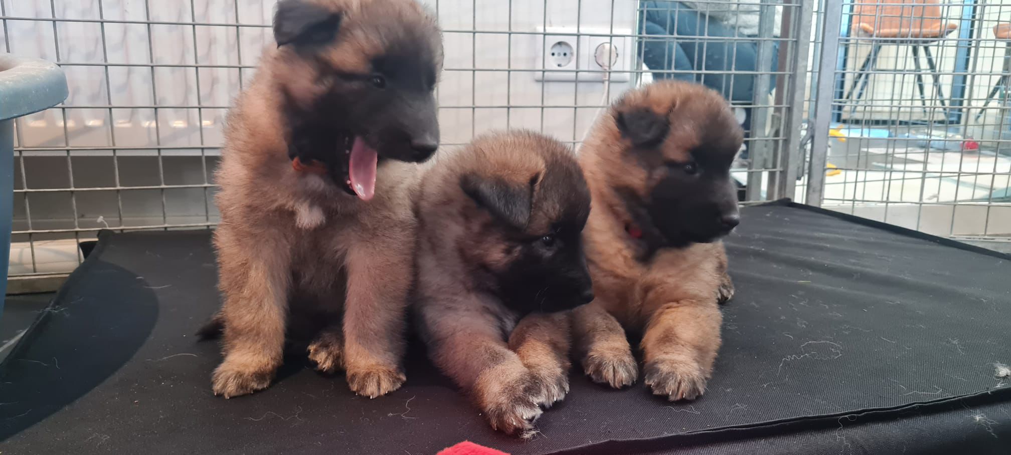 cdbbf955-96dc-4c4b-ac75-8e23a25cf799