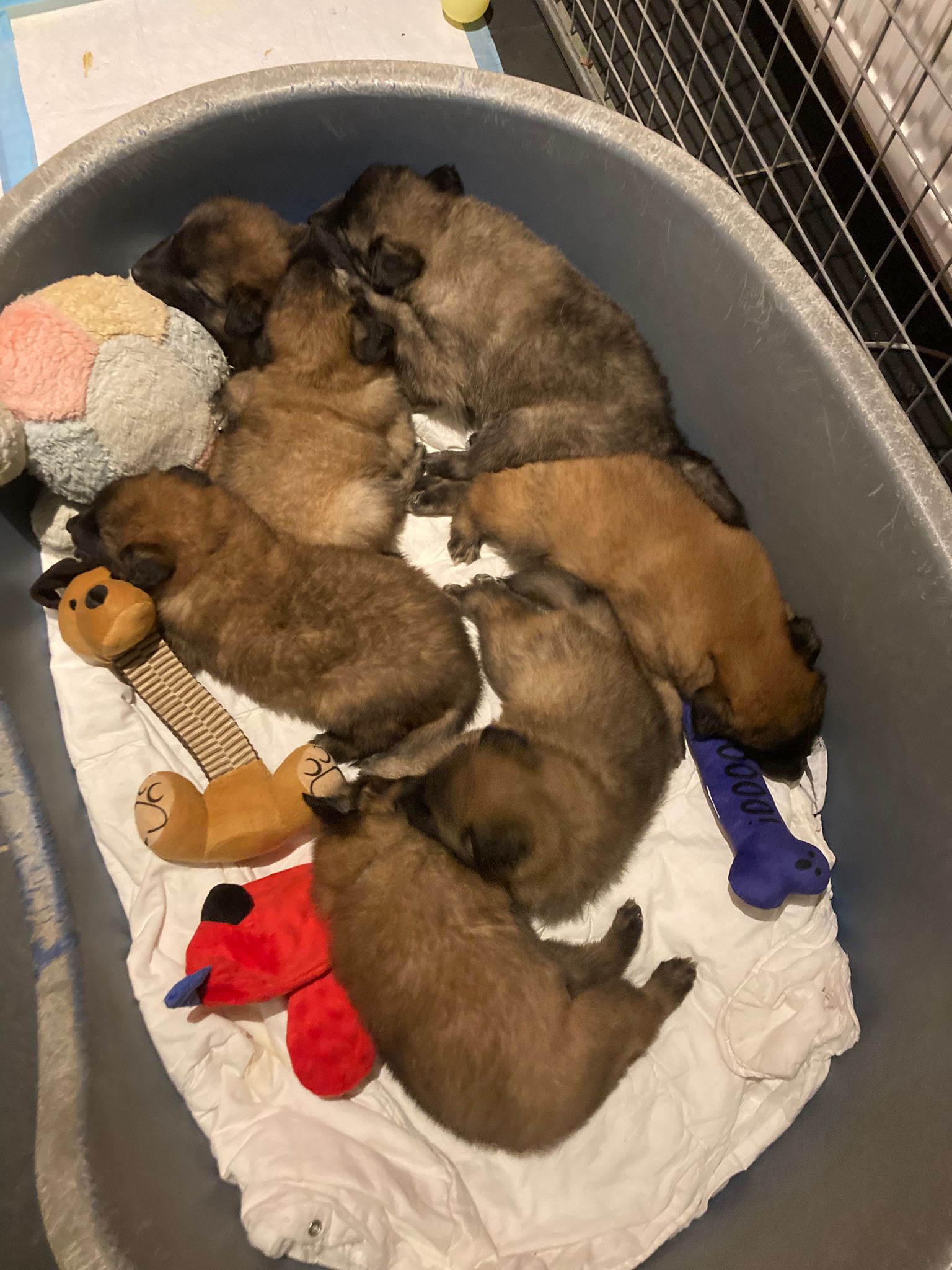 e56b16ff-cea5-4fa3-a9b9-76c07e82c534