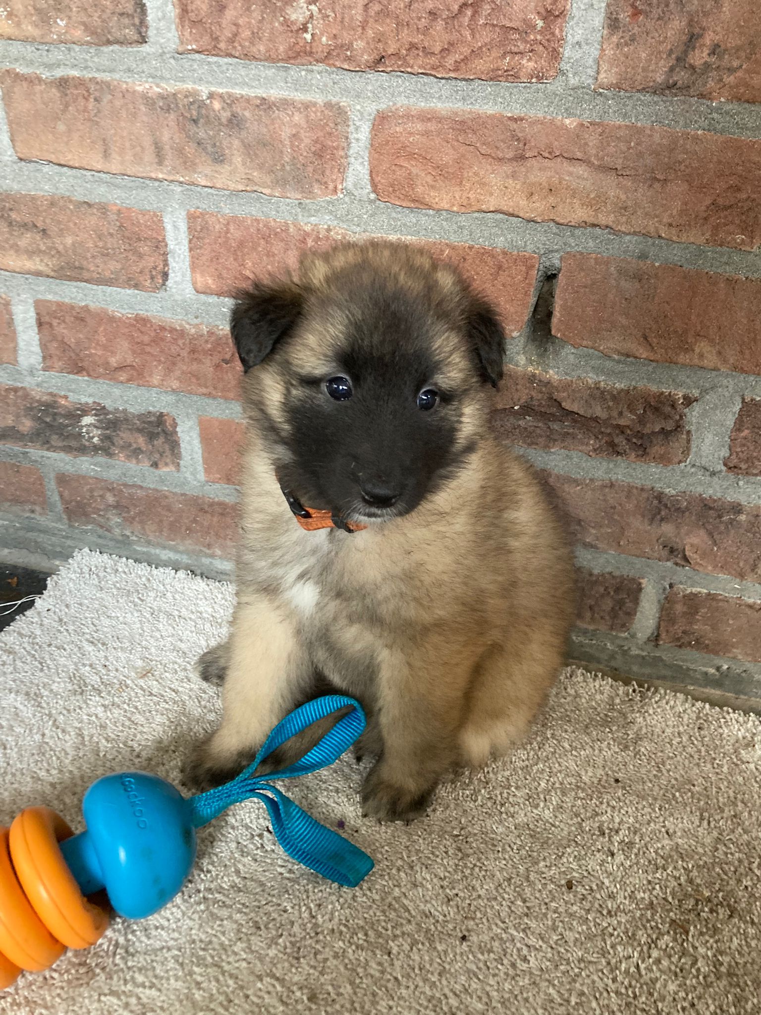 ff345d57-7aa5-4e45-9f43-4c747286c96d